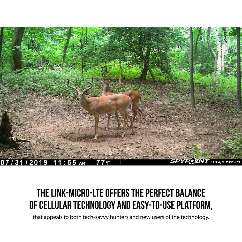 SPYPOINT LINK-MICRO-LTE 80-foot detection range for broad coverage.