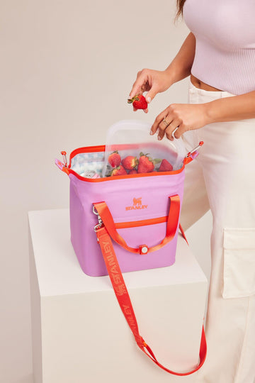 STANLEY All Day Julienne Mini Soft Cooler lilac at a picnic keeps snacks fresh