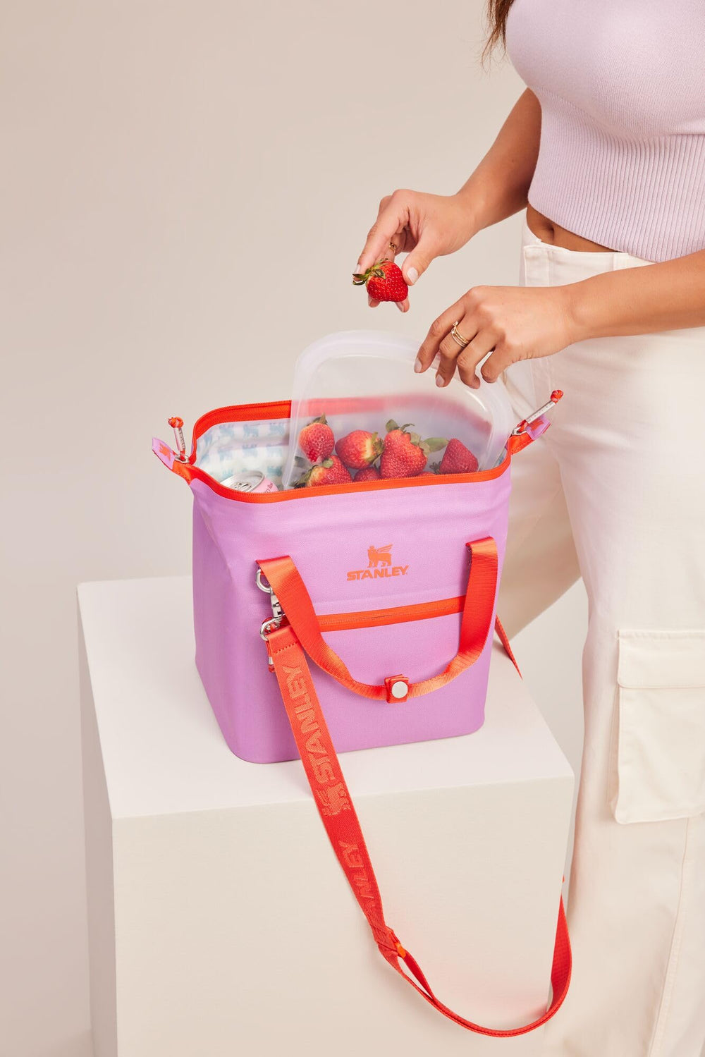STANLEY All Day Julienne Mini Soft Cooler lilac at a picnic keeps snacks fresh