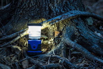 Stansport 500 Lumen Lantern globe-off for compact storage