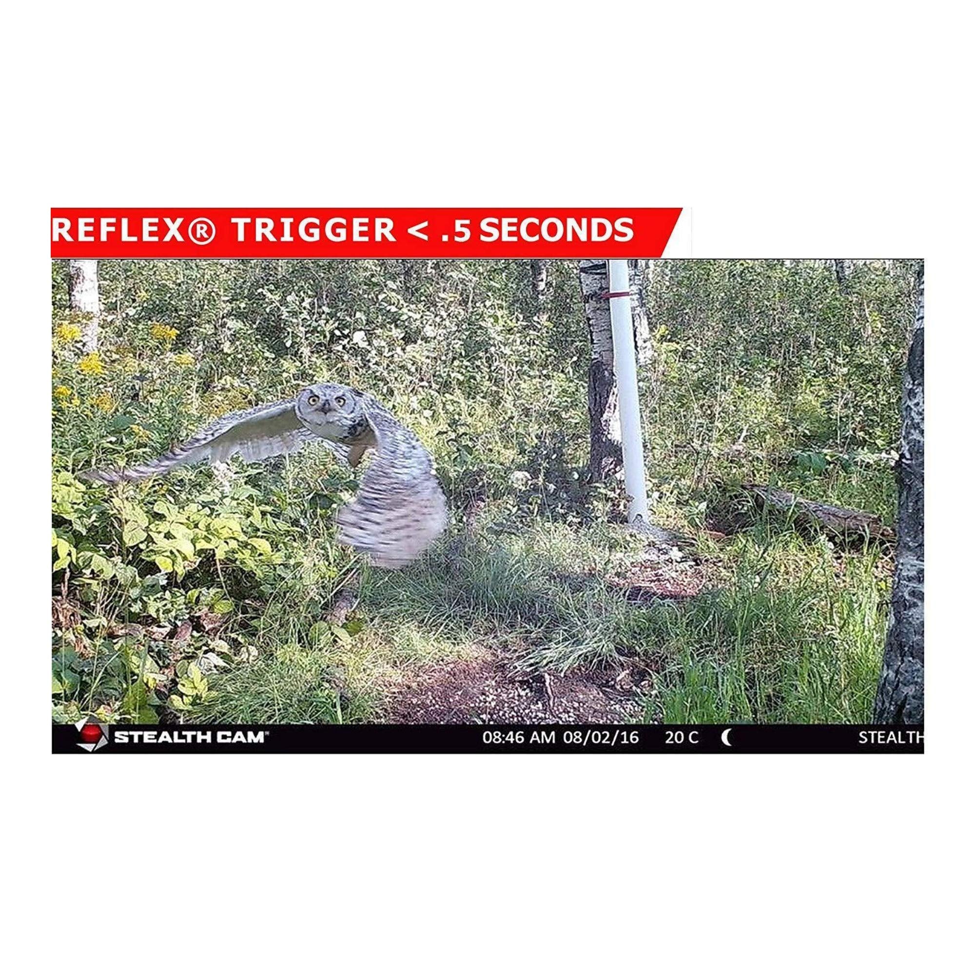 Stealth Cam 2020 G42NG included 32GB SD card ready for action.