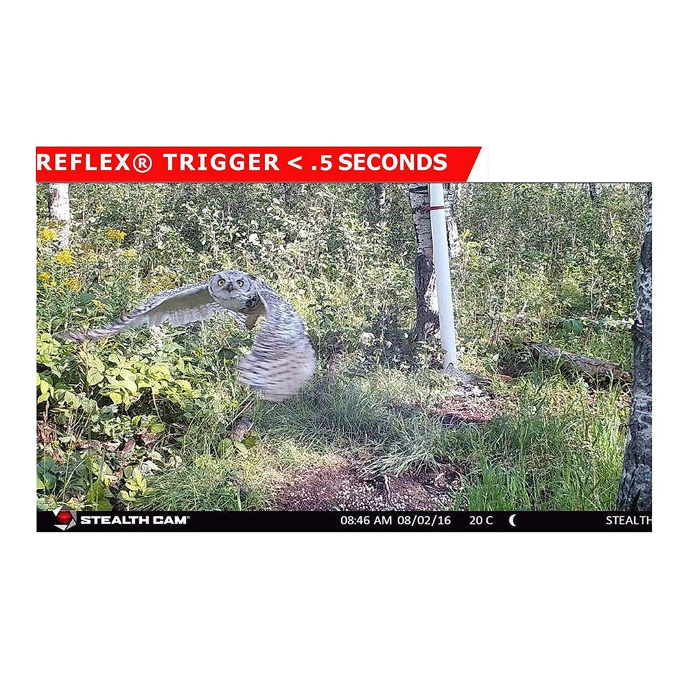 Stealth Cam 2020 G42NG included 32GB SD card ready for action.