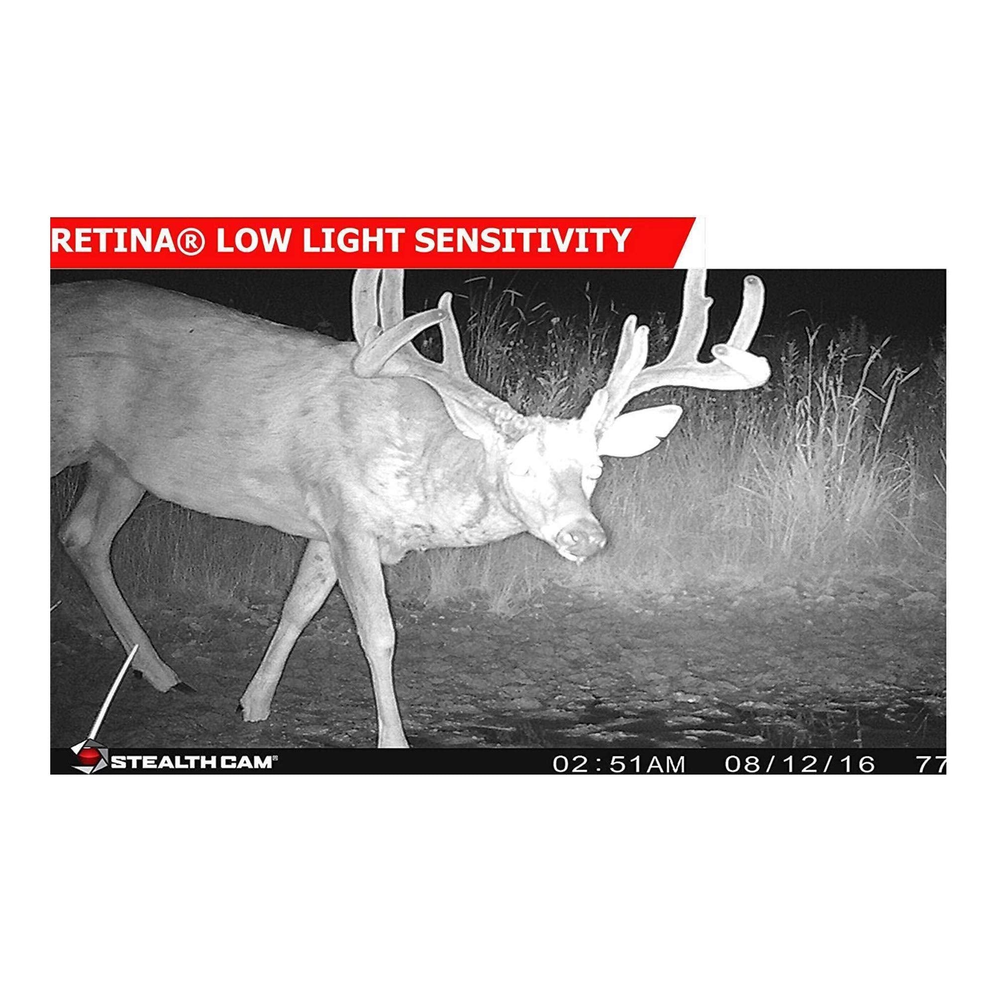 Stealth Cam 2020 G42NG time-lapse feature for daily activity tracking.