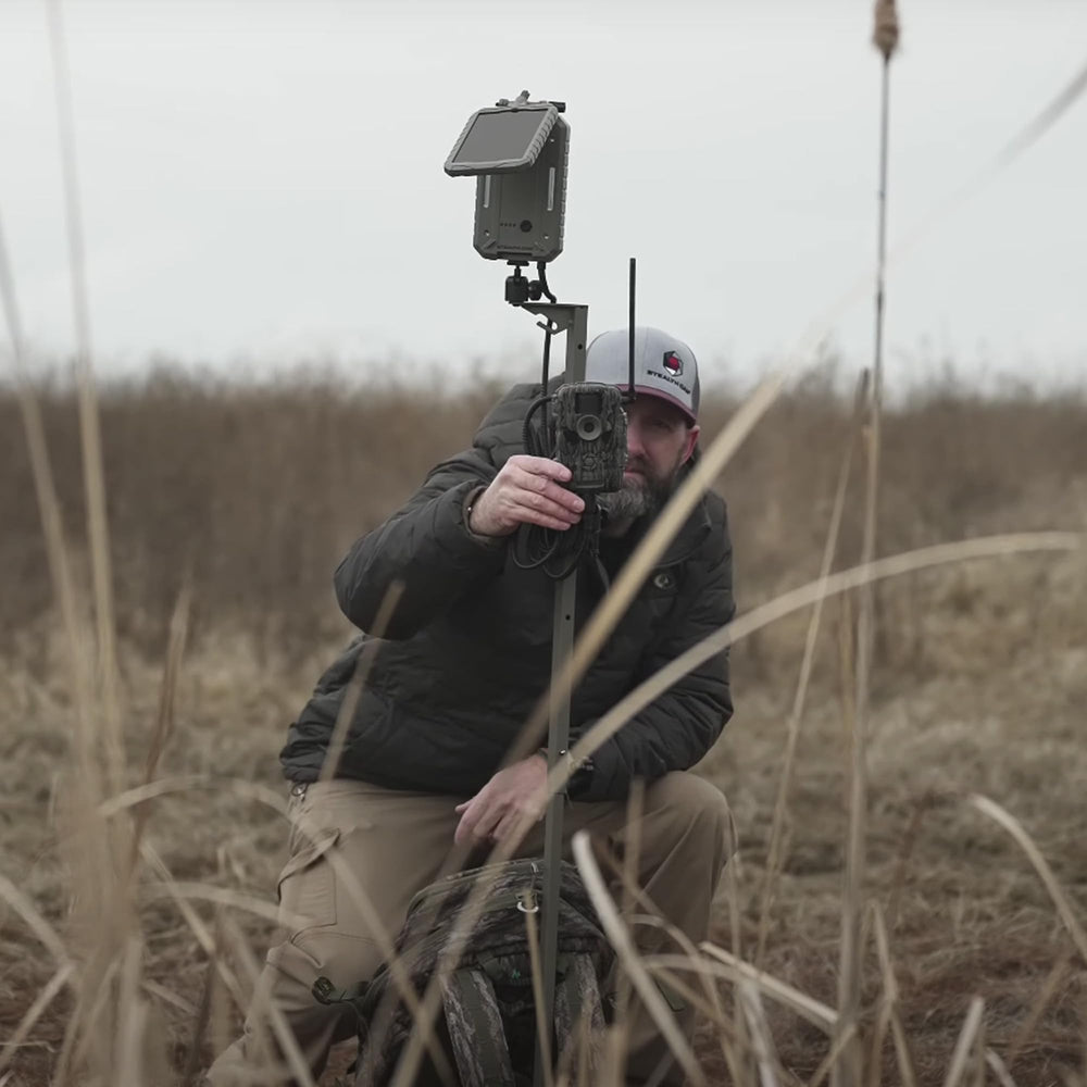 Stealth Cam 80-foot detection with infrared flash captures distant wildlife clearly.