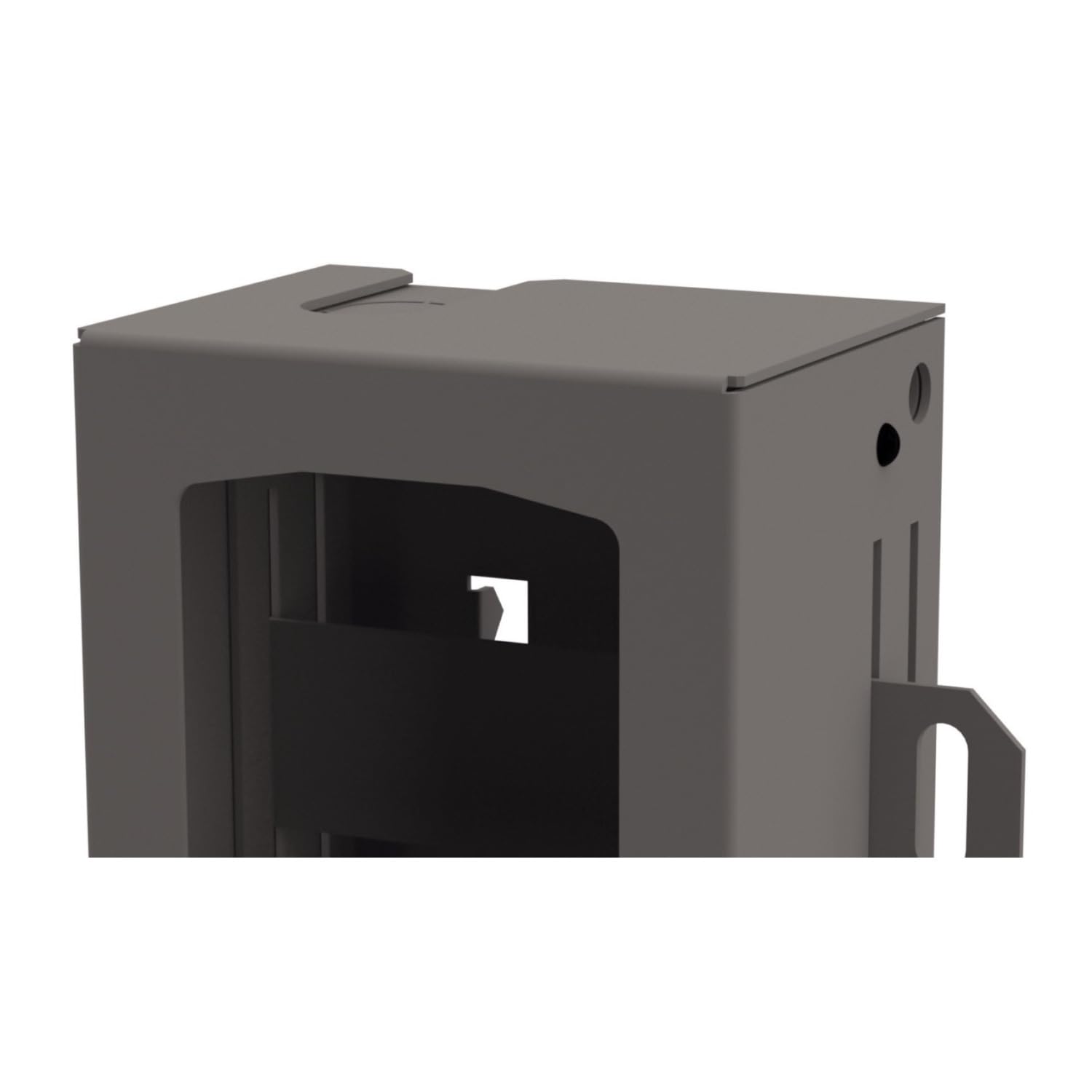 Stealth Cam Bear Security Box large lag bolt setup for durable mounting.
