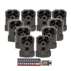 Stealth Cam Browtine 16MP mounted on a tree for reliable outdoor monitoring.