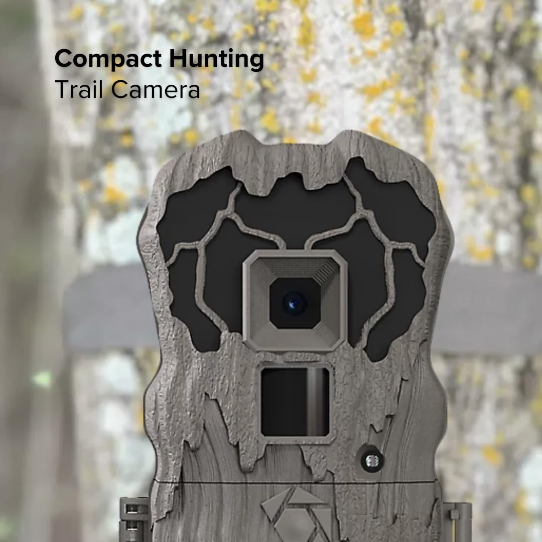 Stealth Cam Browtine 60ft flash highlights visibility in low light.