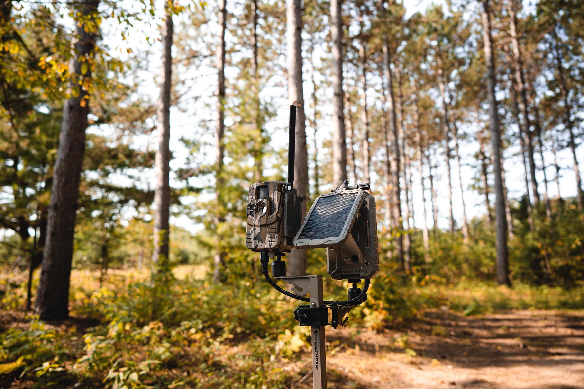 Stealth Cam Connect Max 2.0 80-foot detection range captures distant activity.