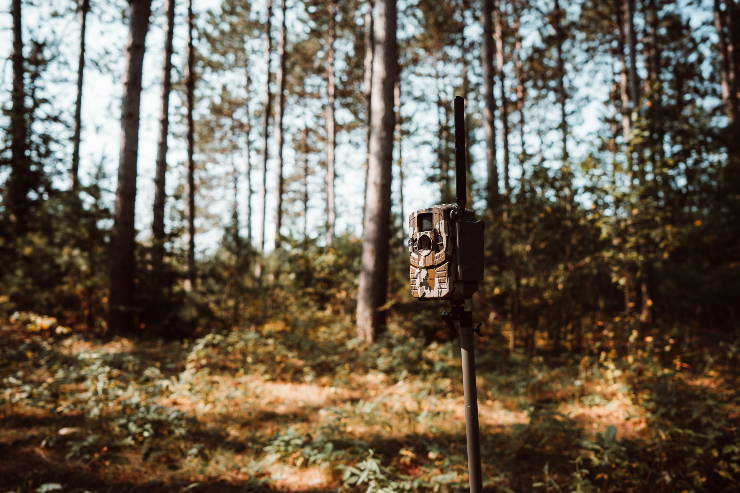 Stealth Cam Connect Max 2.0 low-glow IR LEDs for discreet night photos.