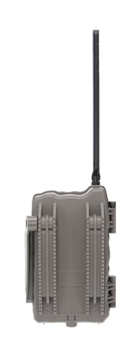 Stealth Cam Deceptor 1440P video with audio captures wildlife actions.