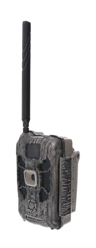 Stealth Cam Deceptor 40MP stills deliver sharp daytime imagery.