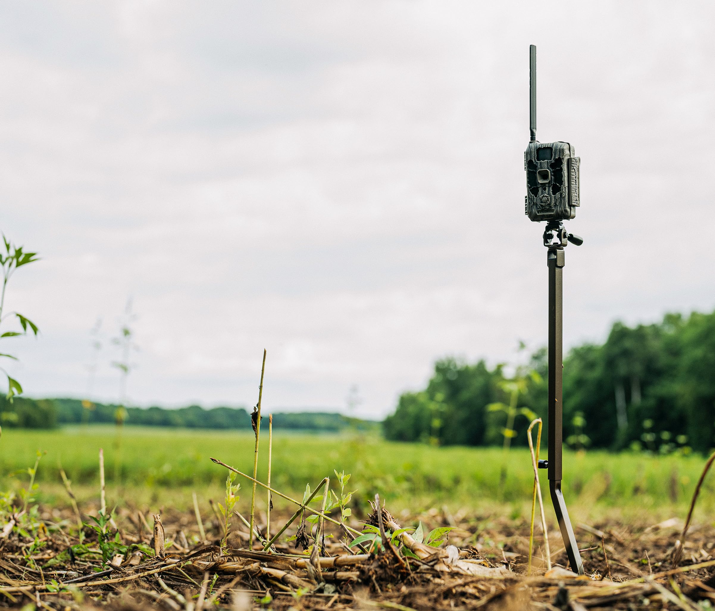Stealth Cam Deceptor Command Pro app enables remote control from anywhere.
