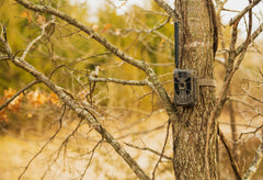 Stealth Cam Deceptor IR range showing quiet night surveillance visuals.