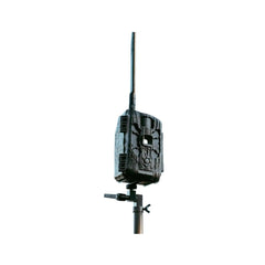 Stealth Cam Deceptor MAX 2.0 40MP photos highlight high-resolution wildlife captures.