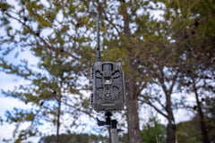 Stealth Cam Deceptor Max 2.0 rear view with weather-sealed housing