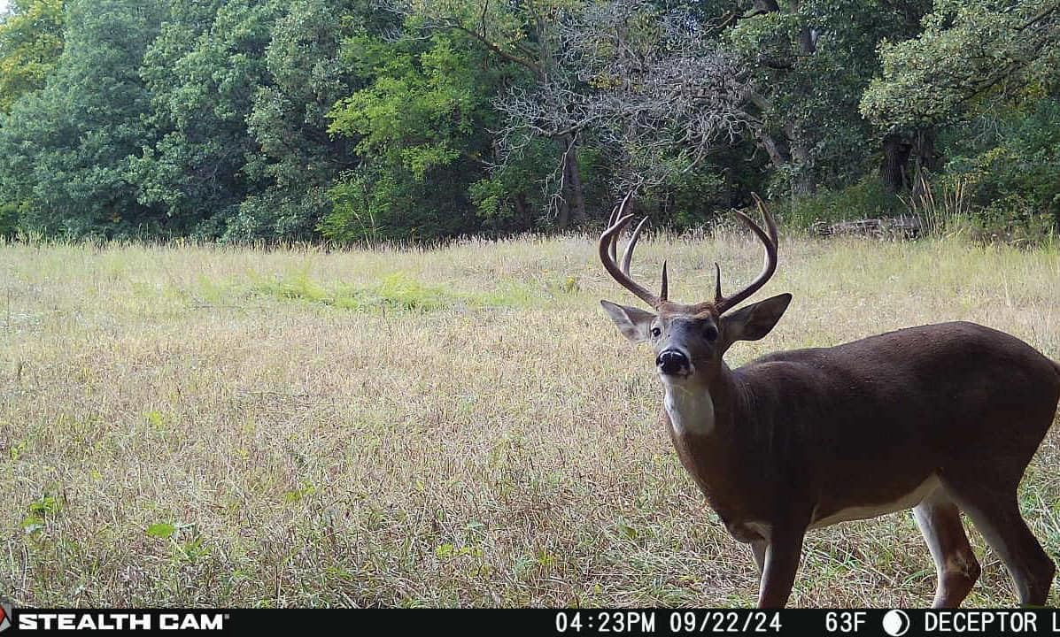 Stealth Cam Deceptor Max 2.0 remote access enables on-demand viewing and streaming.