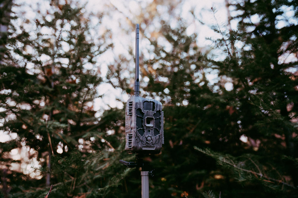 Stealth Cam Deceptor Max 2.0 side profile highlights compact housing for discreet field placement.