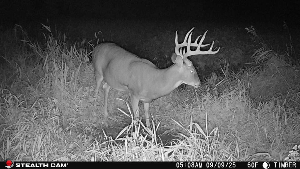 Stealth Cam Deceptor Max weatherproof housing withstands rugged hunting conditions.