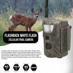 Stealth Cam Flashback 40MP white flash at night captures crisp wildlife images.