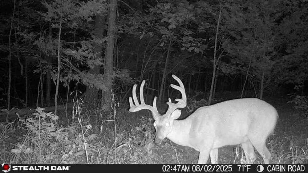 Stealth Cam Fusion Max 2.0 auxiliary jack image allows external power for longer deployments.