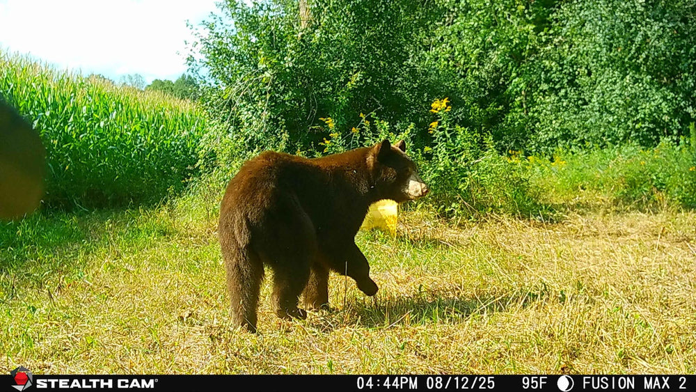 Stealth Cam Fusion Max 2.0 back view highlights weather-resistant housing for remote scouting.