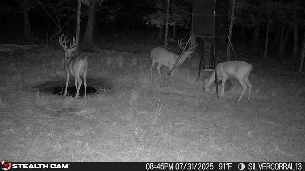 Stealth Cam Fusion Max 2.0 battery tray image supports extended field use.