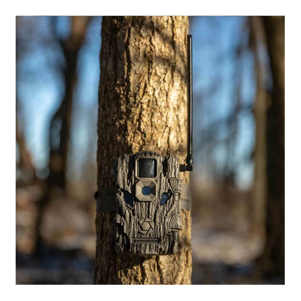 Stealth Cam Fusion X 26MP at night with infrared LEDs delivering clear imaging