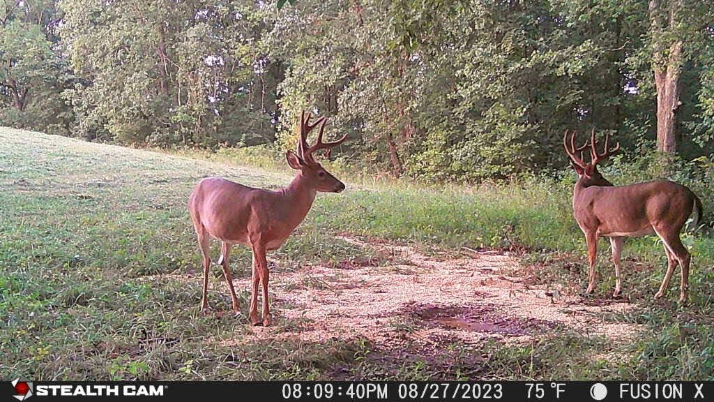 Stealth Cam Fusion X-Pro 2-Pack outdoor installation with power jack.