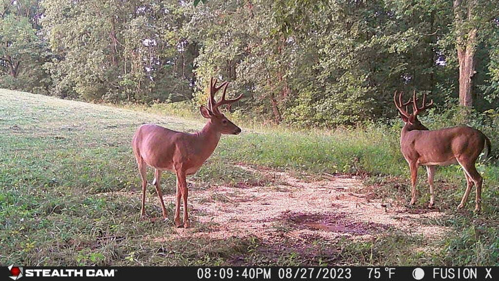 Stealth Cam Fusion X-Pro 2-Pack outdoor installation with power jack.