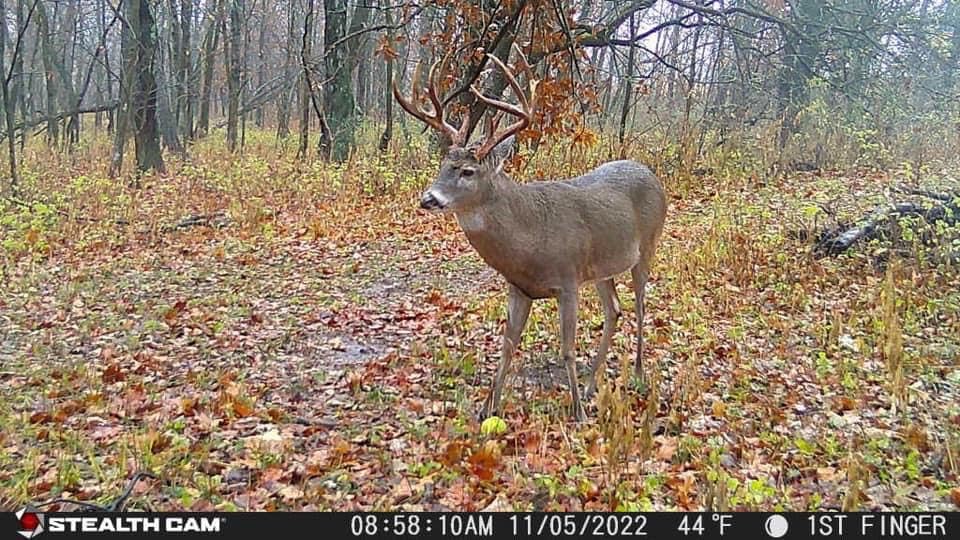 Stealth Cam Fusion X-Pro AT&T and Verizon availability demonstrates cellular coverage.