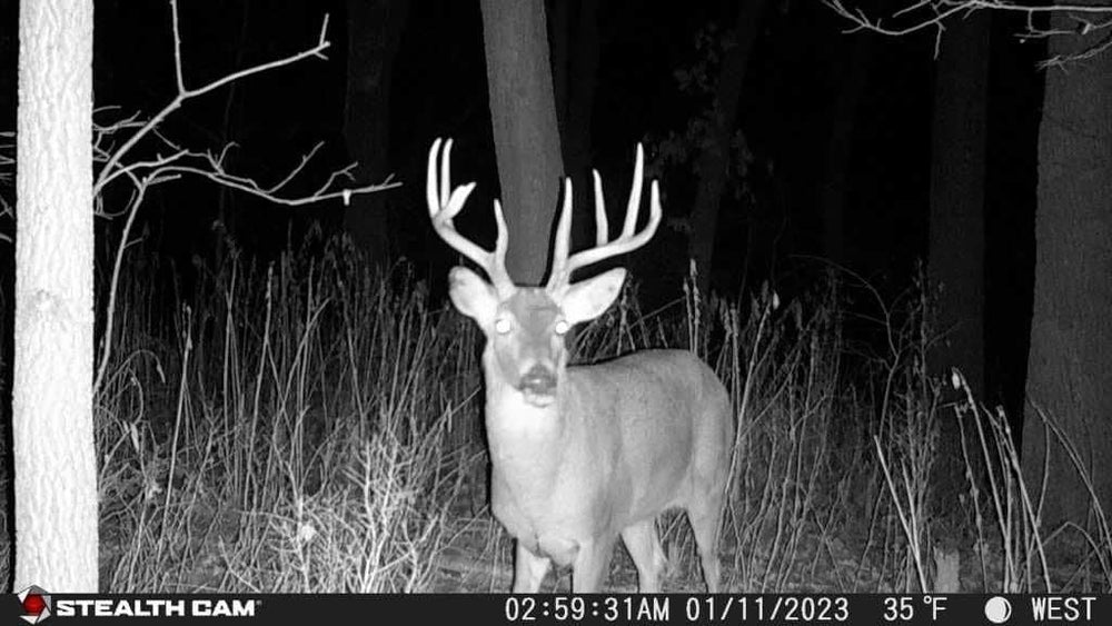 Stealth Cam Fusion X-Pro 80ft detection range emphasizes broad surveillance potential.
