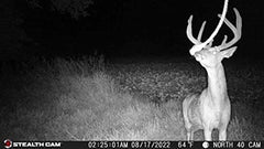 Fusion X 26MP photo mode captures sharp wildlife moments