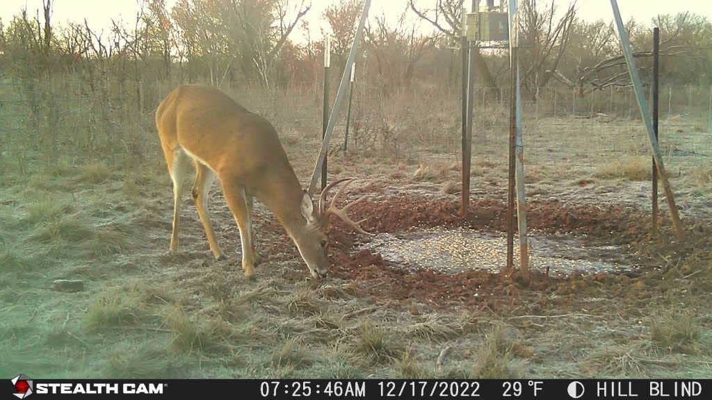 Stealth Cam GMAX32 burst mode captures multiple frames per trigger.