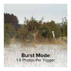 Stealth Cam GMAX32 night imaging field shots show clear infrared performance.