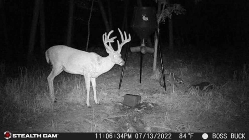 Stealth Cam GMAX32 0.4s trigger speed captures fast movement.