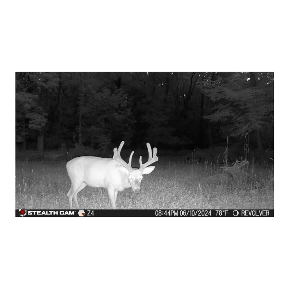 Stealth Cam Revolver Pro 2.0 100 ft range covers large outdoor areas.