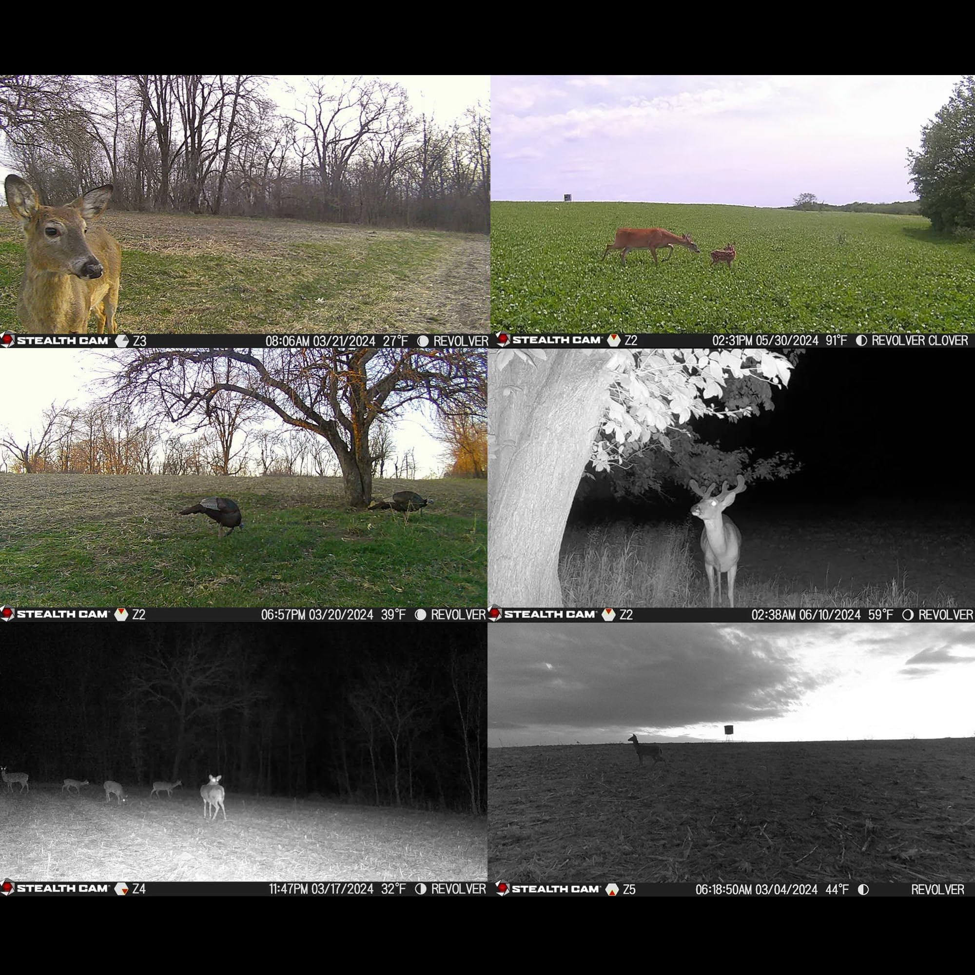 Stealth Cam SD Card Reader for quick data transfer