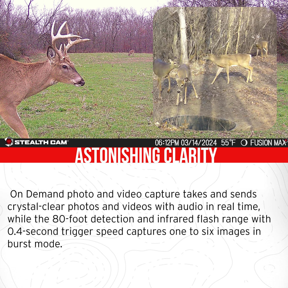 Stealth Cam trail camera holder keeps units steady in rugged conditions.