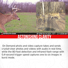 Stealth Cam trail camera holder keeps units steady in rugged conditions.