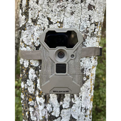 Stealth Cam WV14 14MP image reveals detail-rich wildlife photos