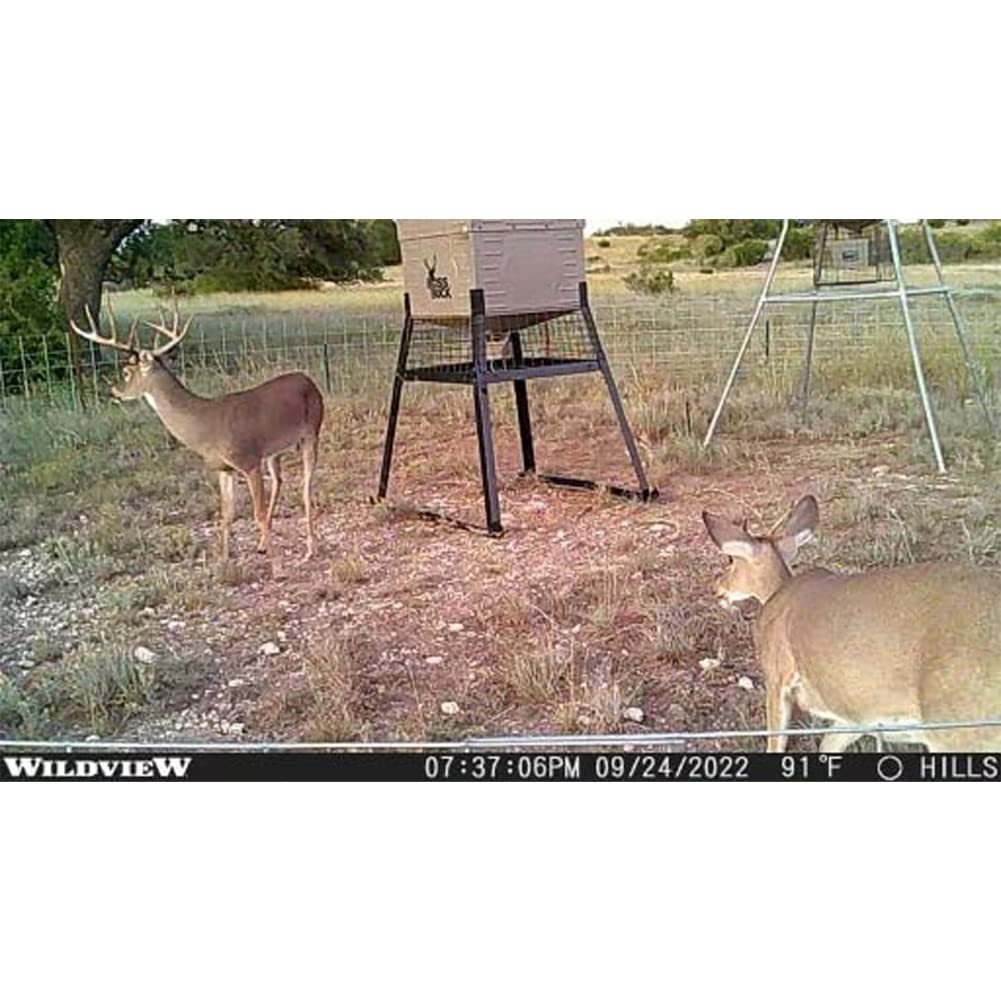 Stealth Cam WV14 with tree strap supports fast placement in the field