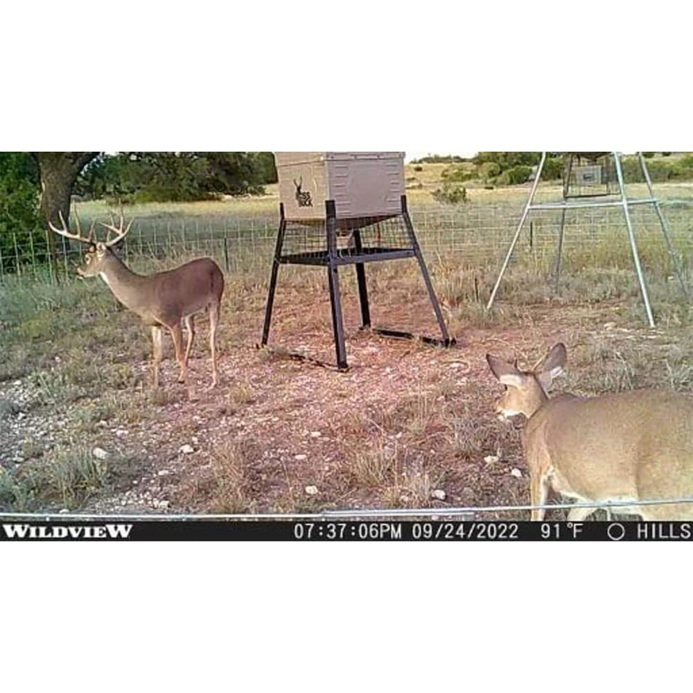 Stealth Cam WV14 with tree strap supports fast placement in the field