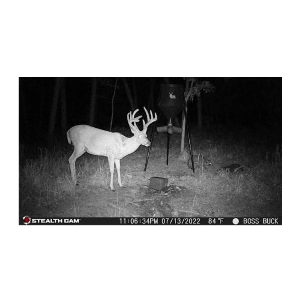 Stealth Cam G42NG PIR video mode records day and night clips.