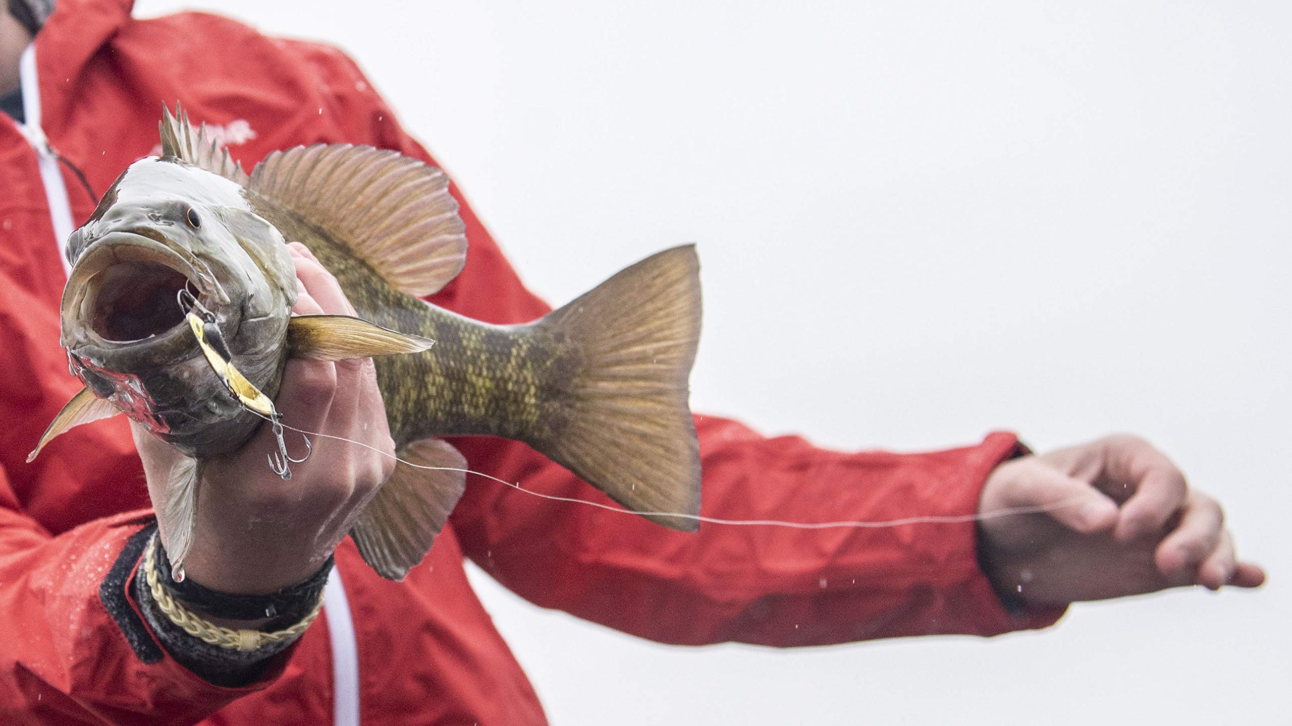 SteelShad Mini lipless crankbait on ice for quick jigging