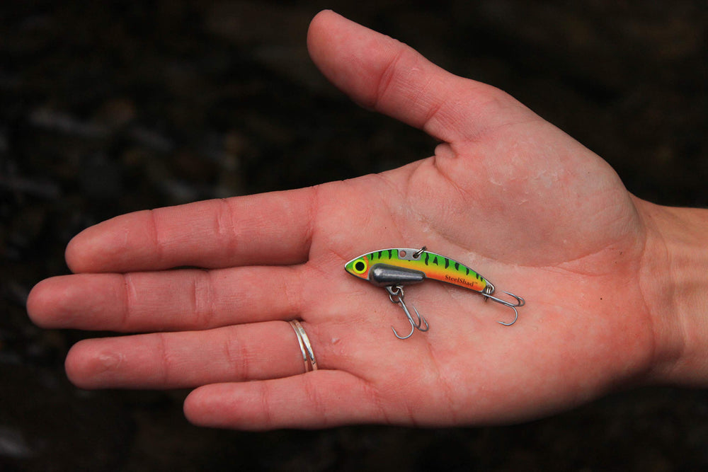 SteelShad Mini 1/4 oz pack image with two lures ready for ice fishing.