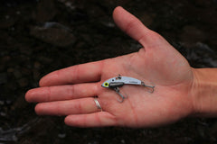Balanced weight of SteelShad Mini for accurate casts and strong vibration