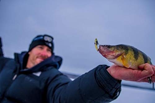 SteelShad Mini balanced casting and jigging action for confident retrieves