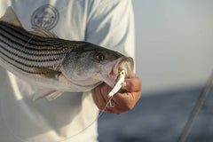VMC Permasteel hooks on SteelShad Mini White Shad for reliable hookups