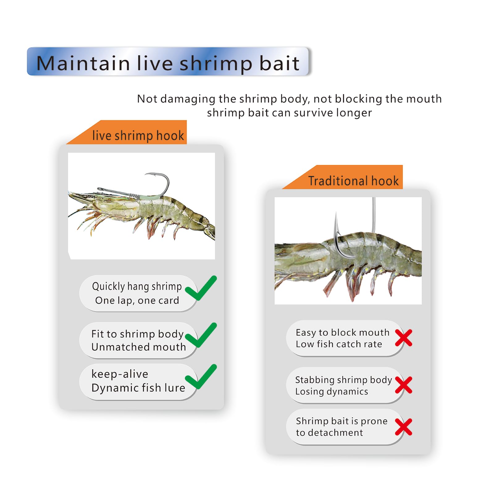 Reusable storage case for bulk shrimp hooks
