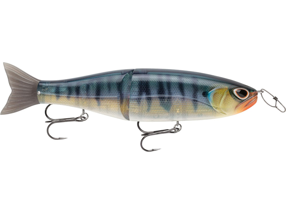 Storm Arashi Glide 19 True Gill front view fin for efficient propulsion.